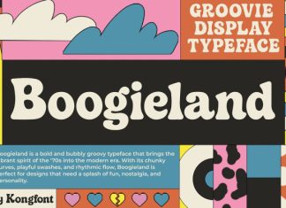 Boogieland Font preview image 1