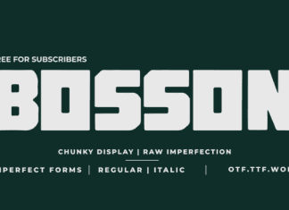 BOSSON FONT preview image 1