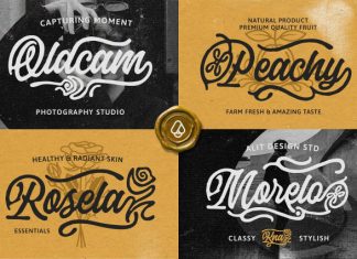 Botanica Whimsy Font preview image 2