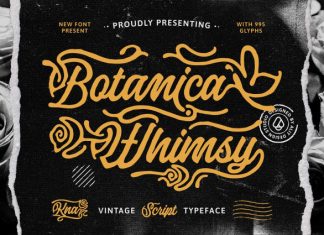 Botanica Whimsy Font preview image 1