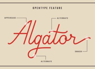Braytons Font preview image 2