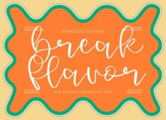Break Flavor Handwritten Font preview image 1