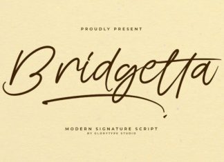 Bridgetta Handwriting Font preview image 1
