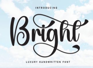 Bright Script Type preview image 1