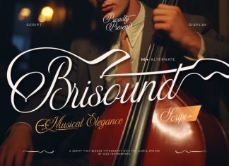 Brisound Font preview image 1