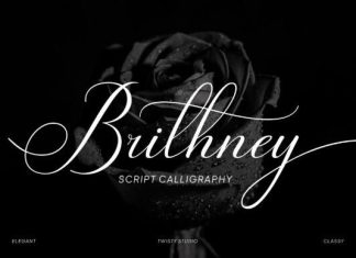 Brithney Font preview image 1