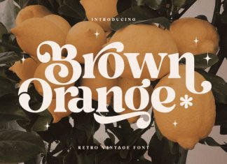 Brown Orange Font preview image 1