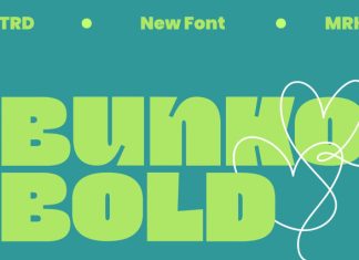 Bunko Font preview image 1