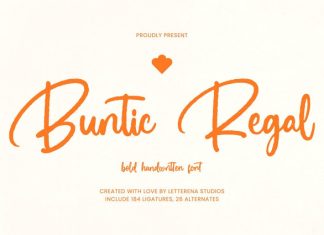 Buntic Regal Script Font preview image 1