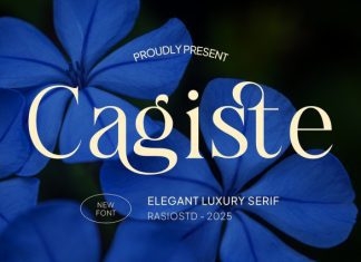 Cagiste Font preview image 1