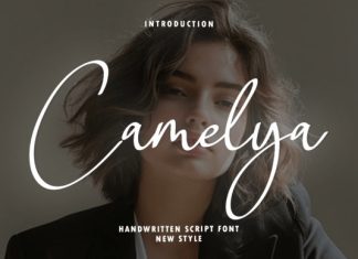 Camelya Handwritten Font preview image 1