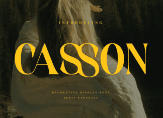Casson Font preview image 1