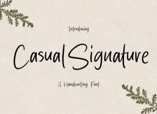 Casual Signature Font preview image 1