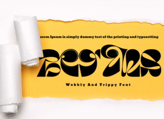 Certain Reasons Font preview image 2