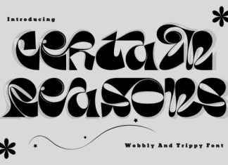 Certain Reasons Font preview image 1
