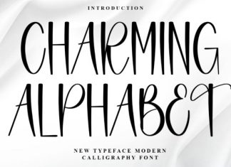 Charming Alphabet Font preview image 1