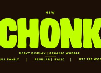 CHONK FONT preview image 1