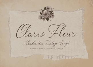 Claris Fleur Script Font preview image 1
