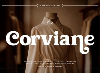 Corviane Font preview image 1