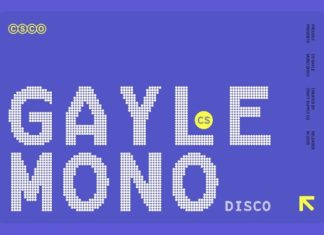 CS Gayle Mono Disco Font preview image 1