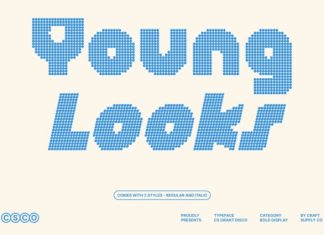 CS Grant Disco Font preview image 2