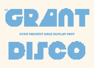 CS Grant Disco Font preview image 1