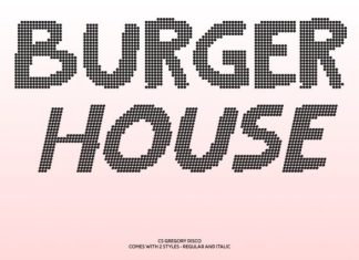 CS Gregory Disco Font preview image 2