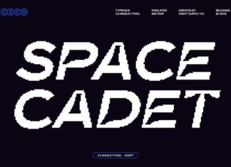 CS Marley Pixel Font preview image 3