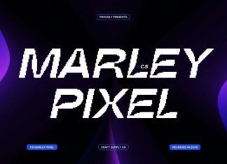 CS Marley Pixel Font preview image 1