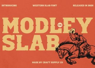 CS Modley Font preview image 1