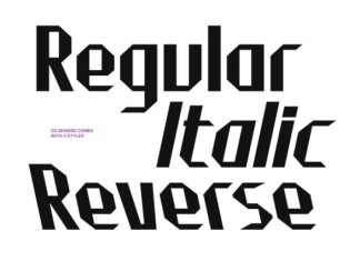 CS Seward Font preview image 2