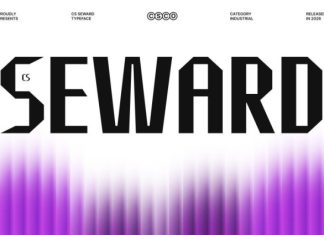 CS Seward Font preview image 1