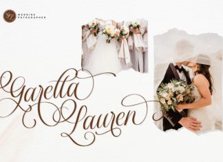 Dellanor Script Font preview image 3