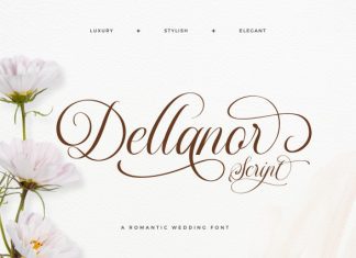 Dellanor Script Font preview image 1