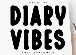 Diary Vibes Font preview image 1