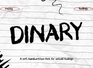 Dinary Font preview image 1