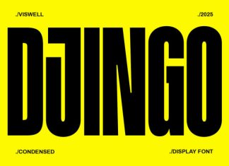 Djingo Font preview image 1