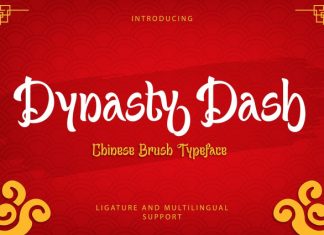 Dynasty Dash Font preview image 1
