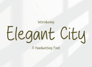 Elegant City Font preview image 1
