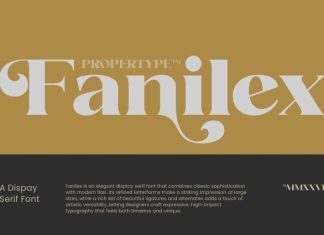 Fanilex Font preview image 1