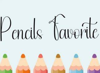 Festival Fruit Script Font preview image 3