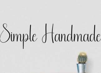 Festival Fruit Script Font preview image 2