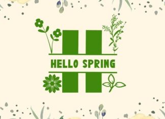 Flower Spring Font preview image 3