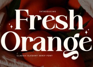 Fresh Orange Font preview image 1