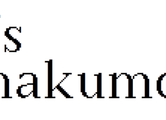 Fs Hakumo Font preview image 1