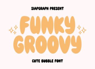 Funky Groovy Font preview image 1