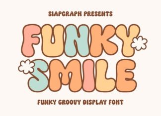 Funky Smile Font preview image 1