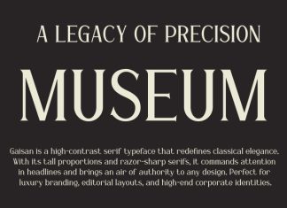 Gaisan Font preview image 3