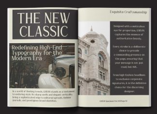 Gaisan Font preview image 2