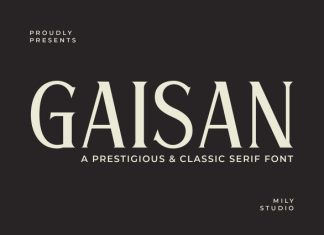 Gaisan Font preview image 1